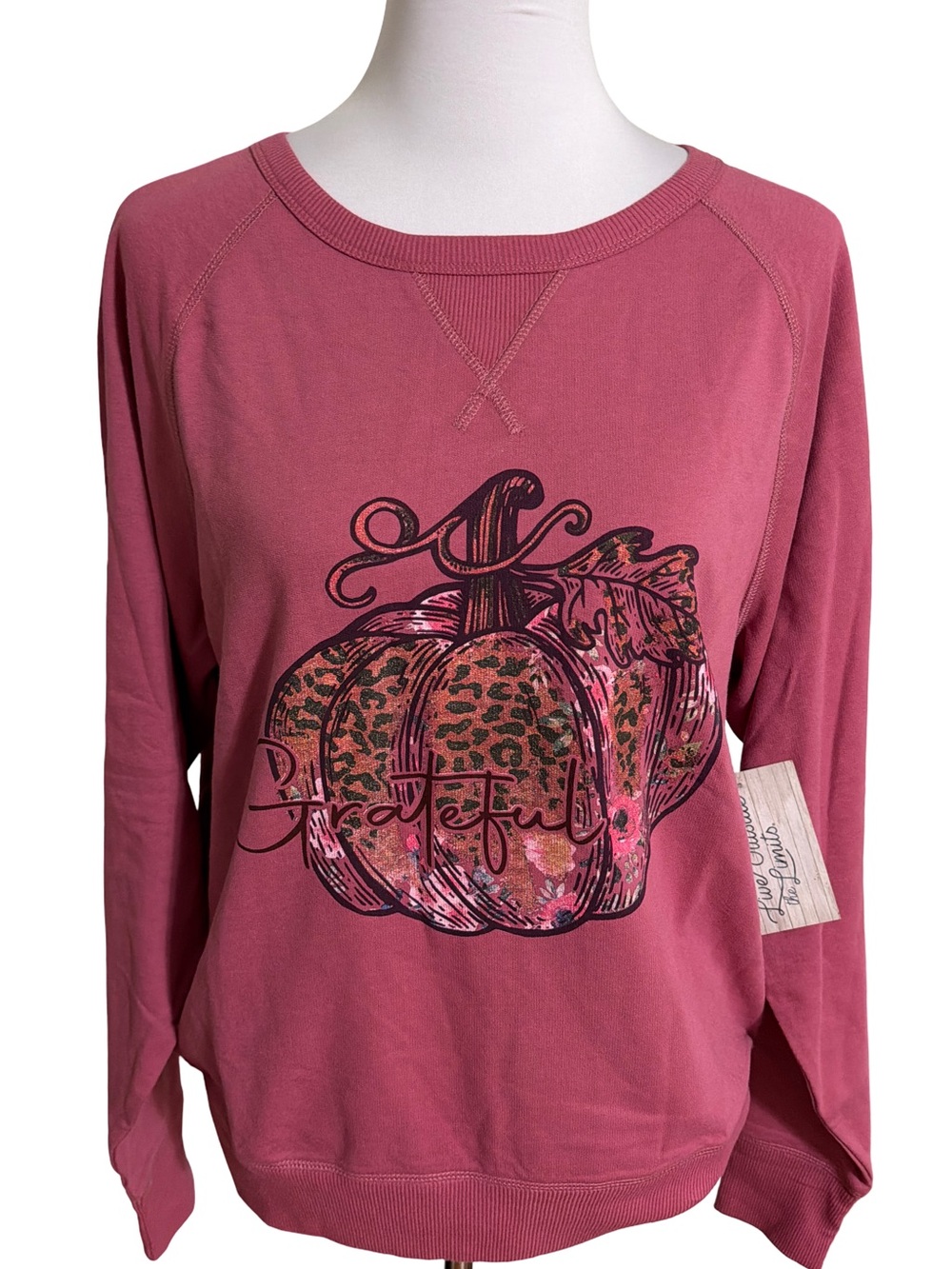 Live Outside The Limits Academy Dusty Rose Sweatshirt Pumpkin